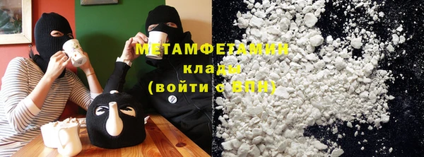 индика Горняк