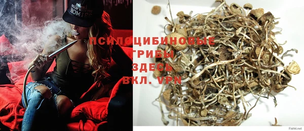 гидра Вязники