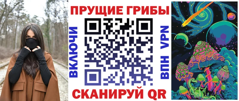 ОМГ ОМГ зеркало  Камышин  Псилоцибиновые грибы прущие грибы 
