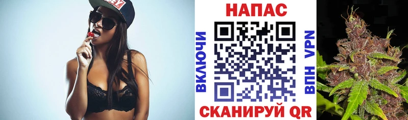 Шишки марихуана SATIVA & INDICA  площадка какой сайт  Камышин 